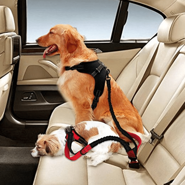 Car Seat Belt Harness for Dogs Car Seat Belt Harness for Dogs