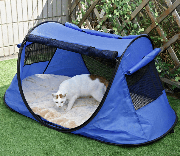 Outdoor Cat Enclosure Outdoor Cat Enclosure