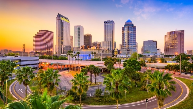 Tampa Florida Skyline Tampa Florida Skyline