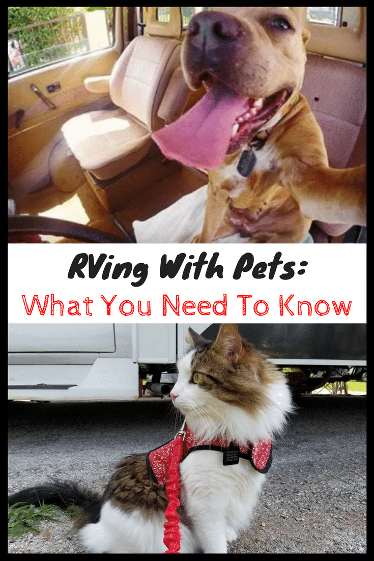 RVing with pets