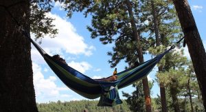 Hammock with Attachments