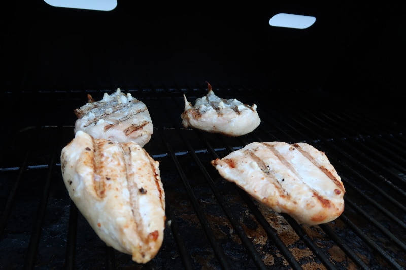 Traeger Grill Review Wood Smoked Flavor