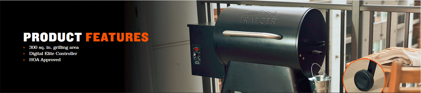 Traeger Grill Review