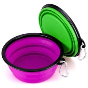 Collapsible Pet Bowl