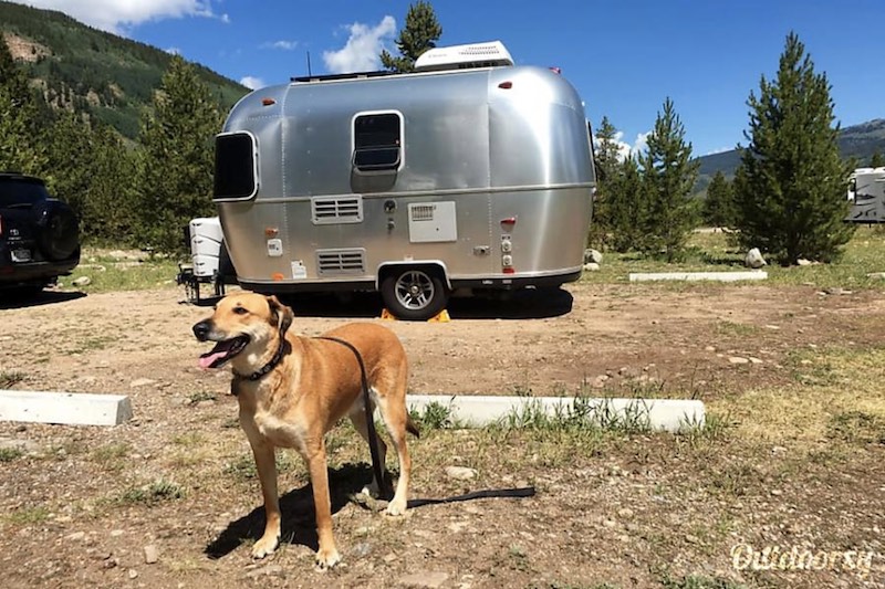 2014 Airstream Sport