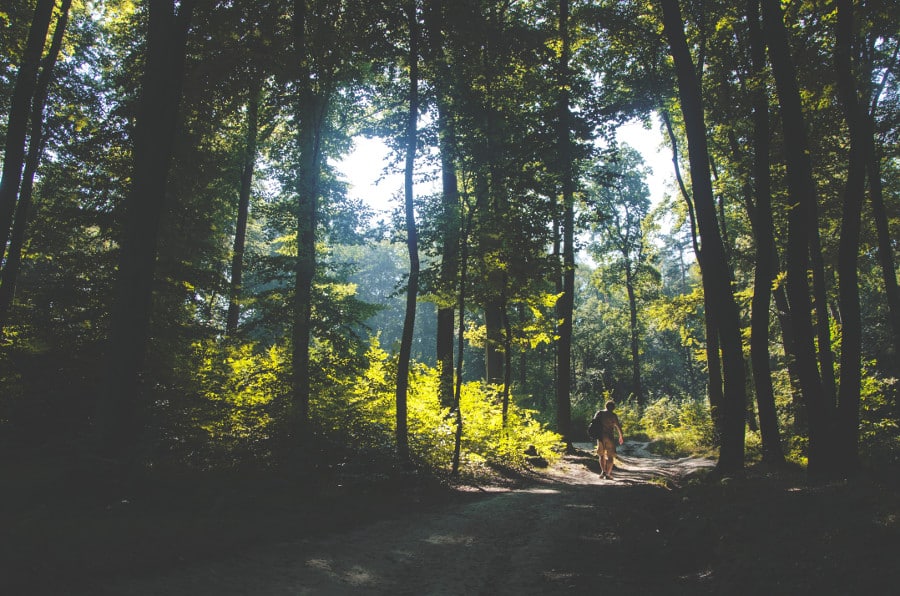 Nature walk