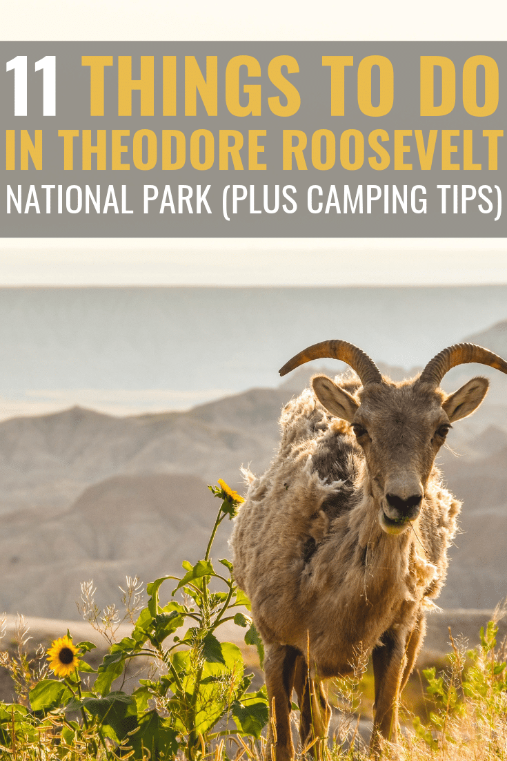 Theodore Roosevelt Theodore Roosevelt