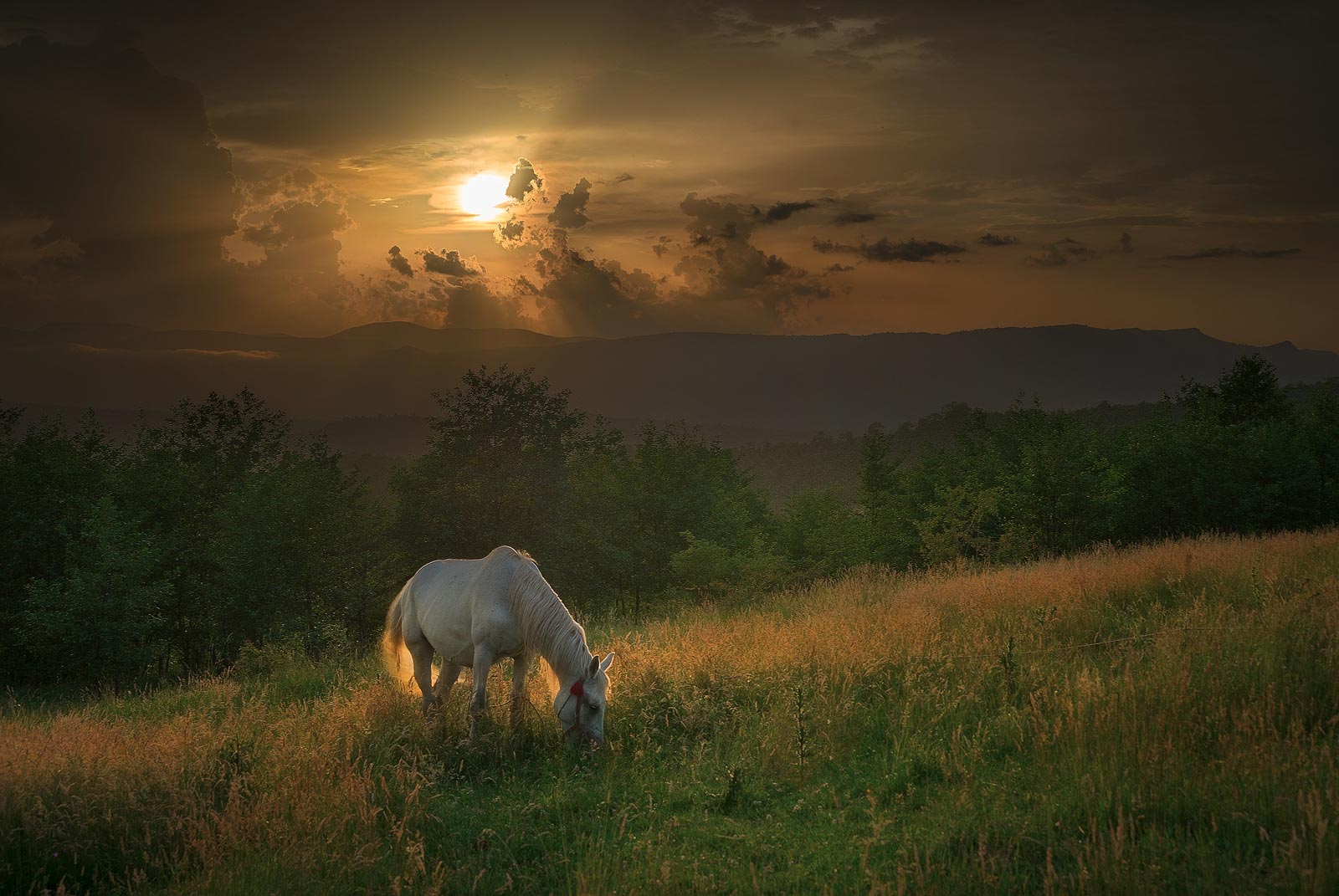 Romania | Best Places to Travel