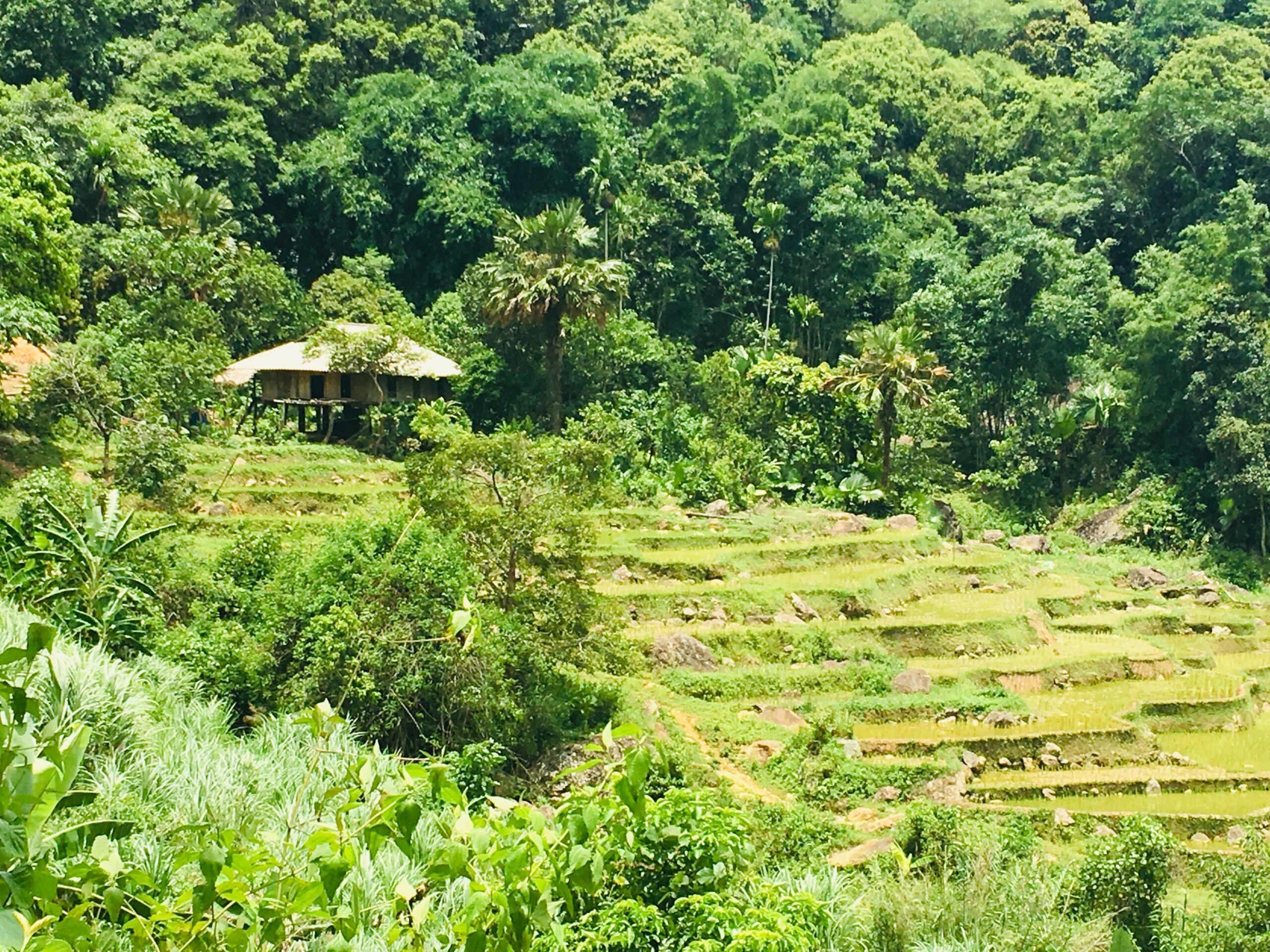 Mai Chau | Best Travel Destinations