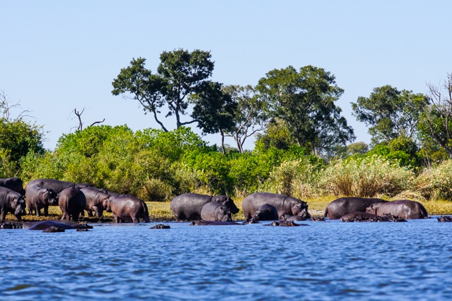 Botswana | Best Travel Destinations