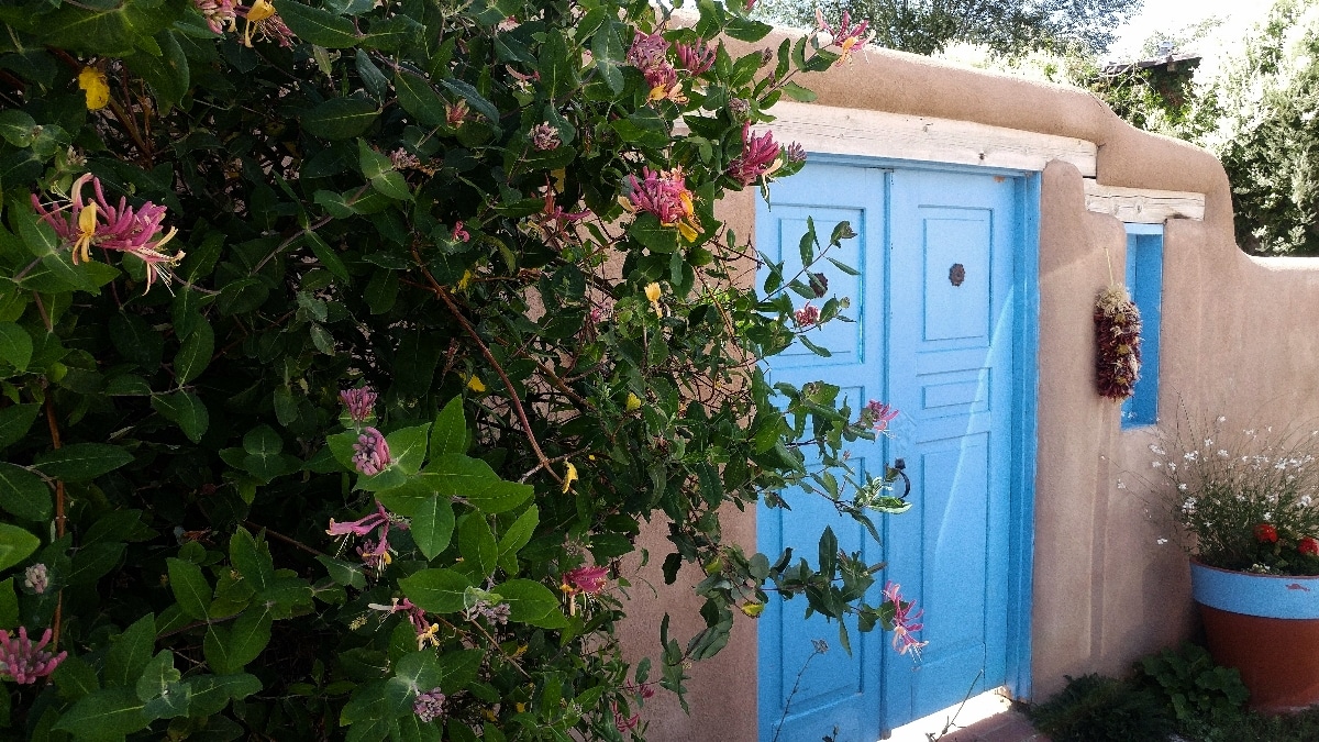 RFT - Taos - Courtyard - vine blue door - featured image