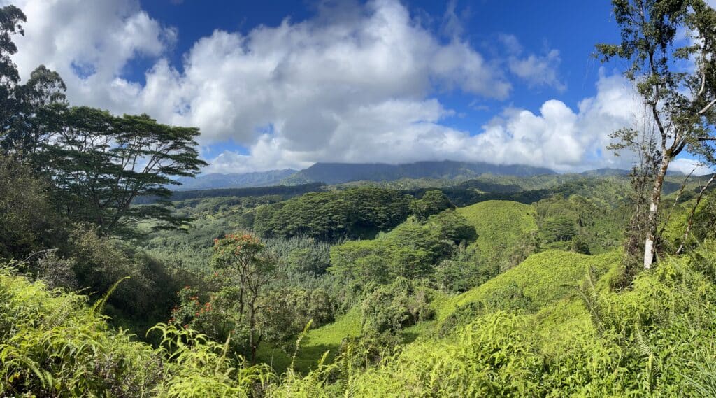 Kuilau Ridge Trail