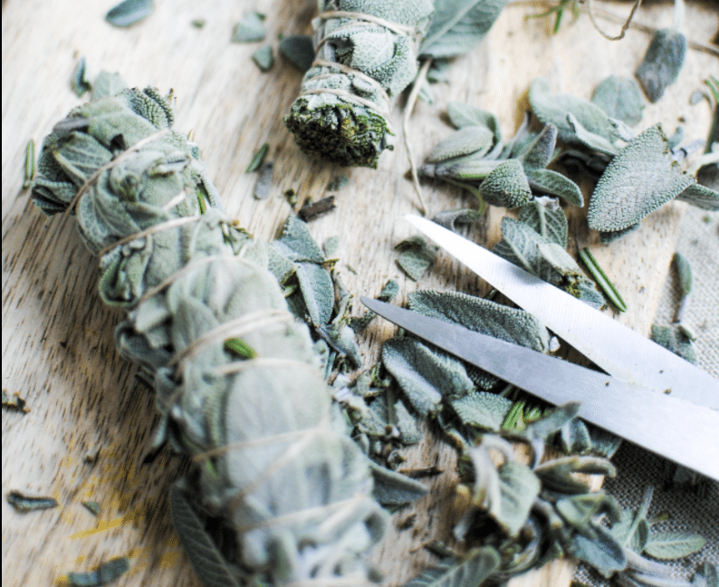 Bundle of sage