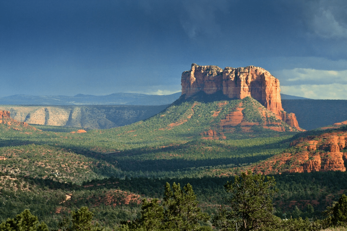 Coconino national forest