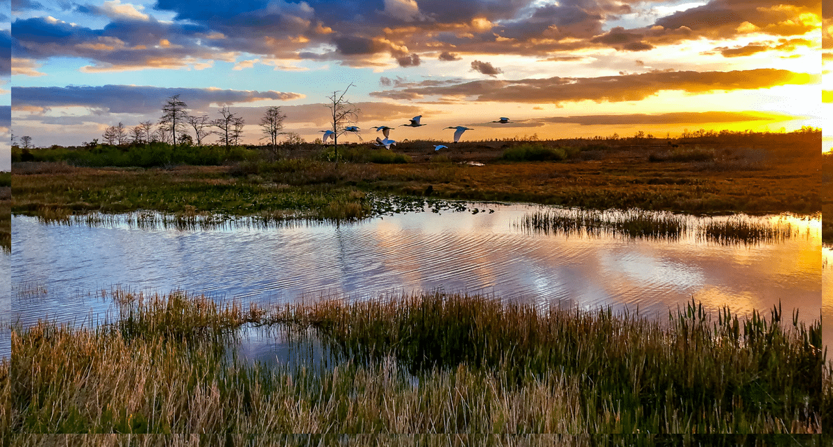 Everglades national park