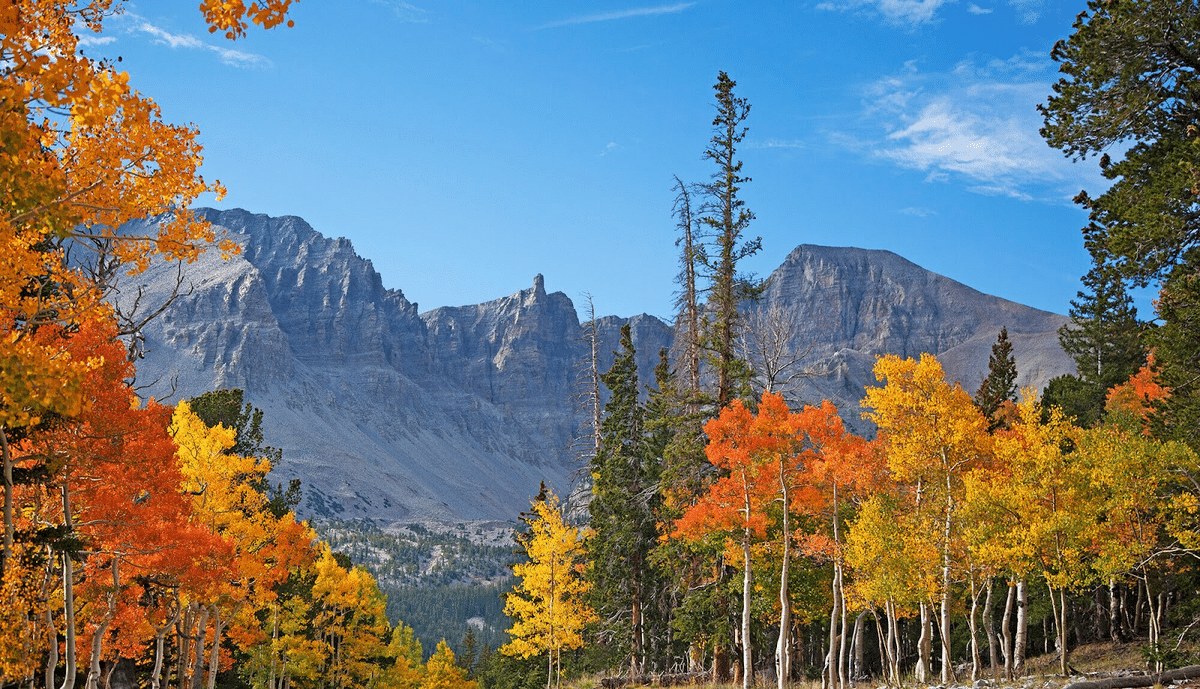 Great basin national park