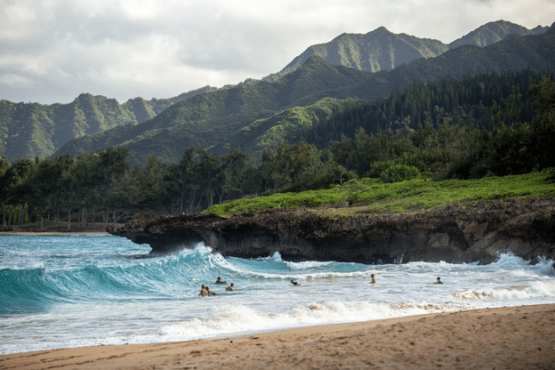 Hawaii beach swimmers