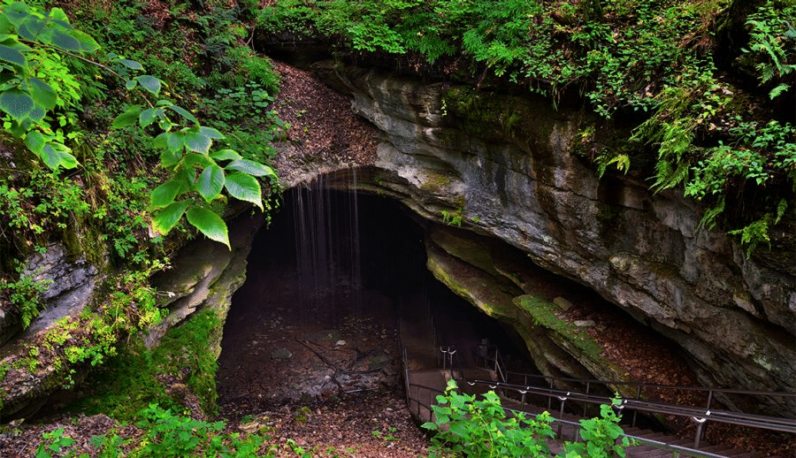 Mammoth cave national park