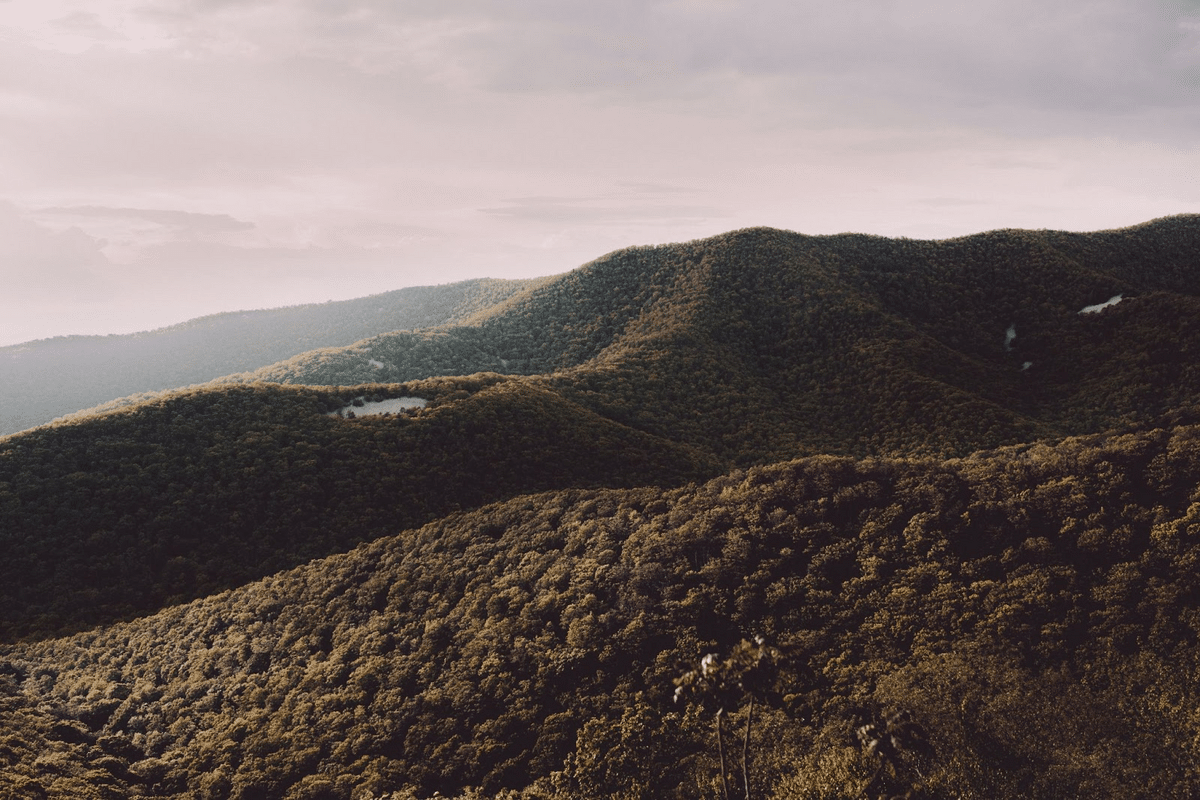 Shenandoah national park