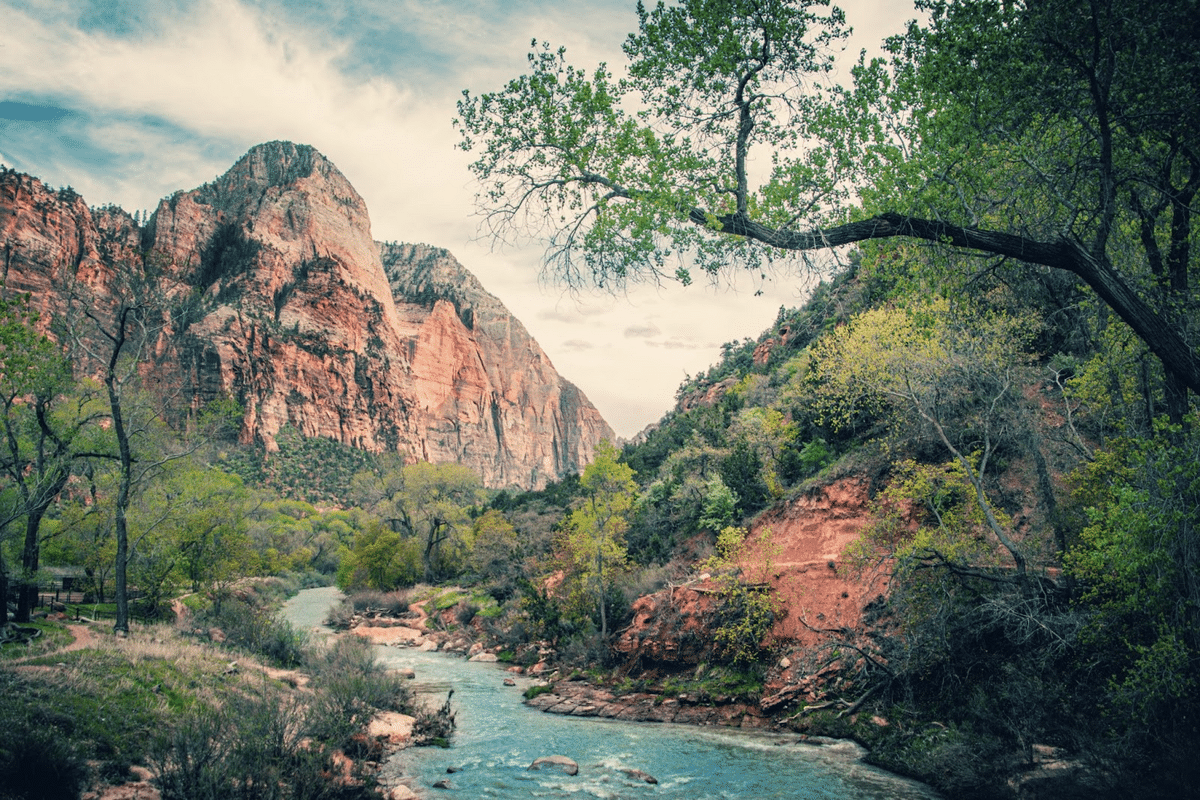 Zion national park