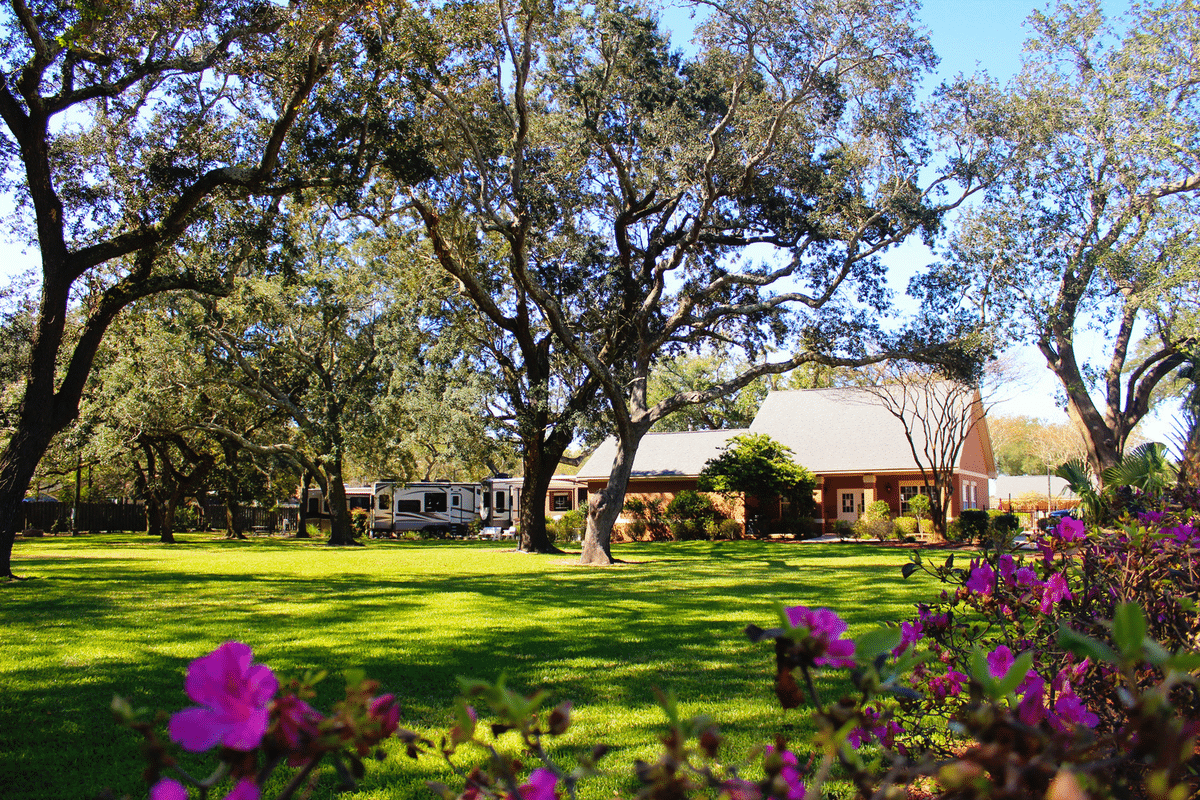 Majestic oaks rv resort