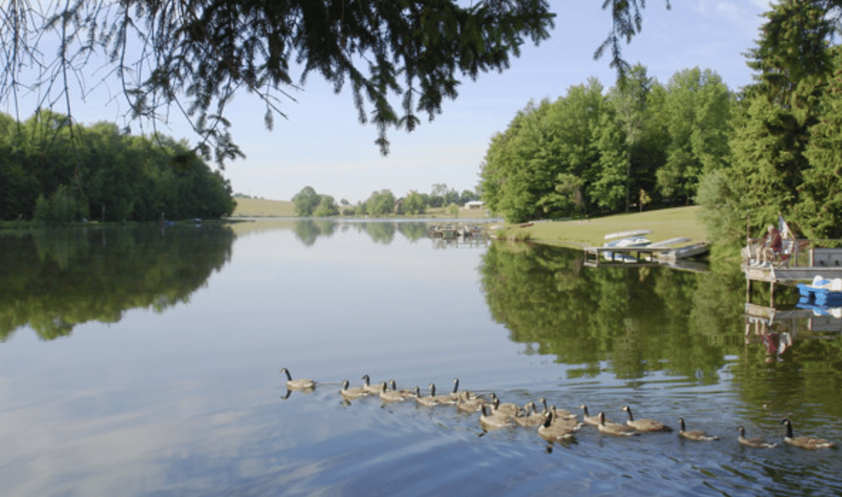 Pine cradle lake family campground