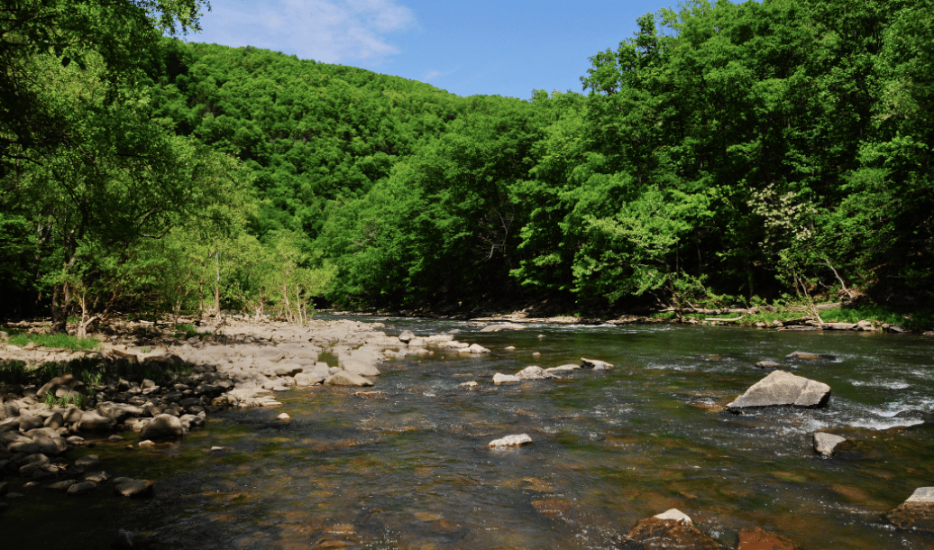 Pipestem rv park