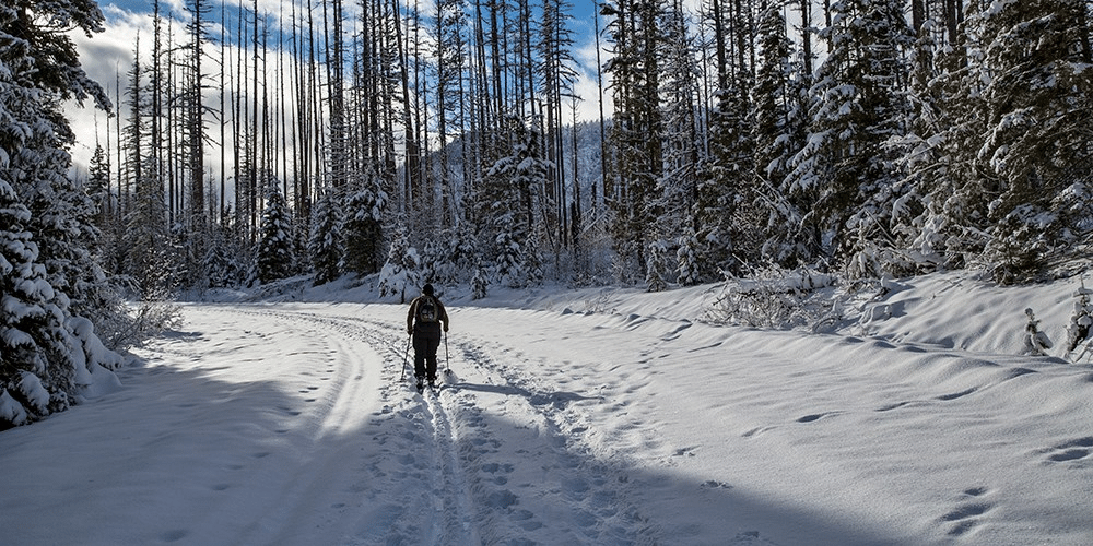 Skiing and snowshoeing