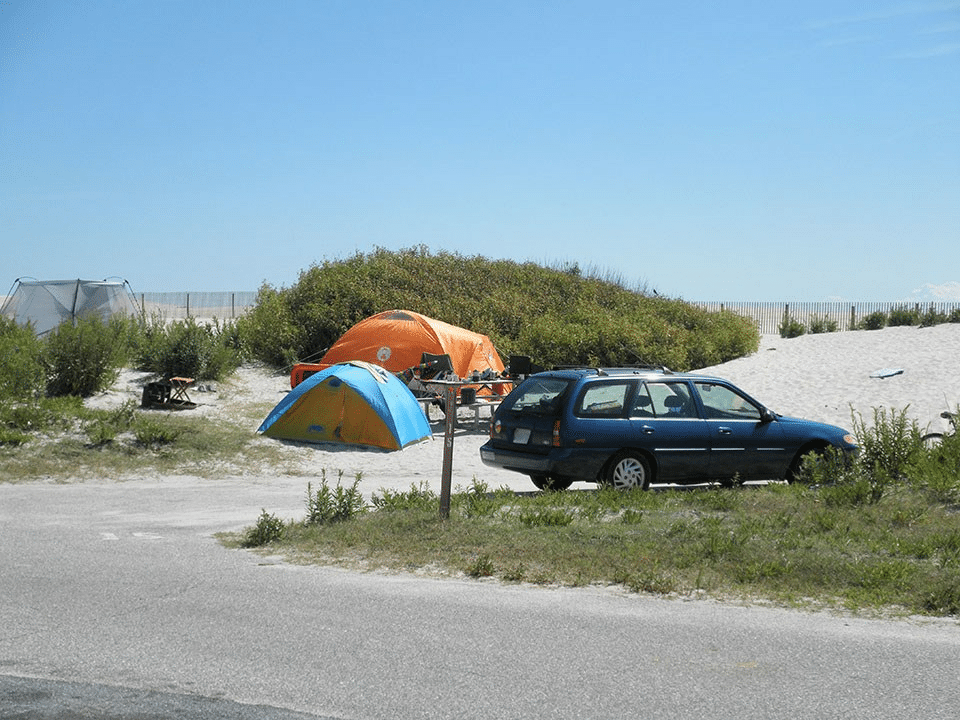 Assateague island national seashore