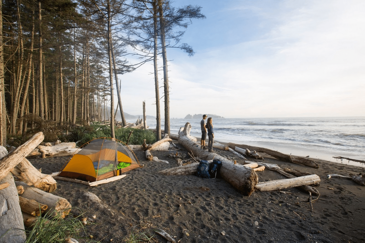 Kalaloch campground